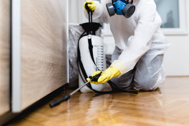 Trusted Plainview, NE Pest Control Experts