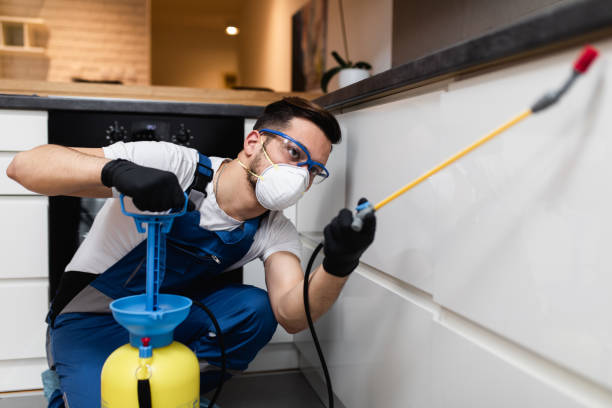 Best Bed Bug Extermination  in Plainview, NE