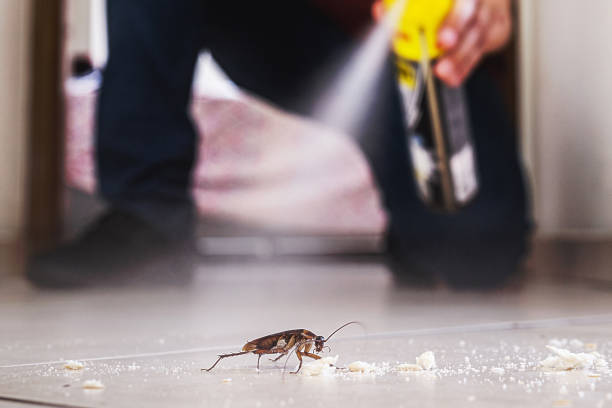 Pest Control Cost in Plainview, NE