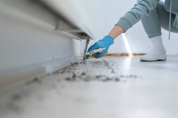 Best Best Pest Control Companies  in Plainview, NE